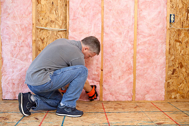 Best Local Insulation Services  in Trexlertown, PA