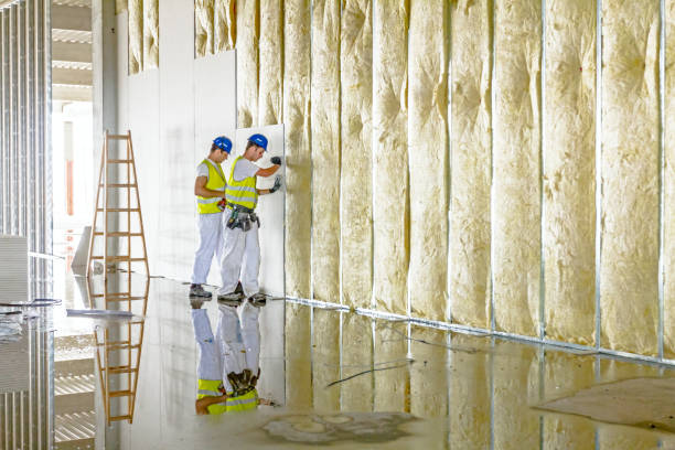 Best Insulation Repair Services  in Trexlertown, PA